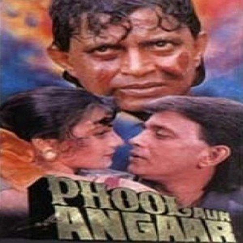 Phool Aur Angaar (1993) (Hindi)